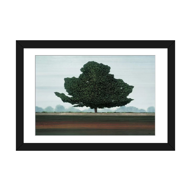 " Majestic " by Robert Charon, Black Framed Fine Art Paper, White, 24" H x 32" W x 1" D