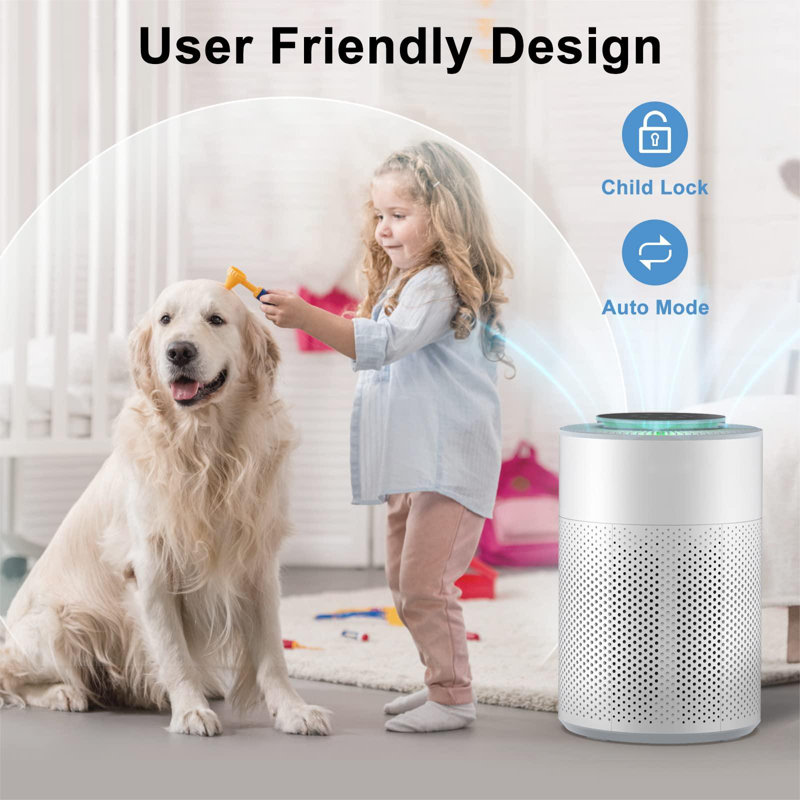 Air Purifier with HEPA Filter
