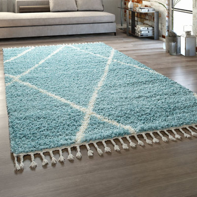 Fougeres Geometric Shag Area Rug