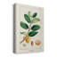 Turpin Tropical Botanicals V-659523922