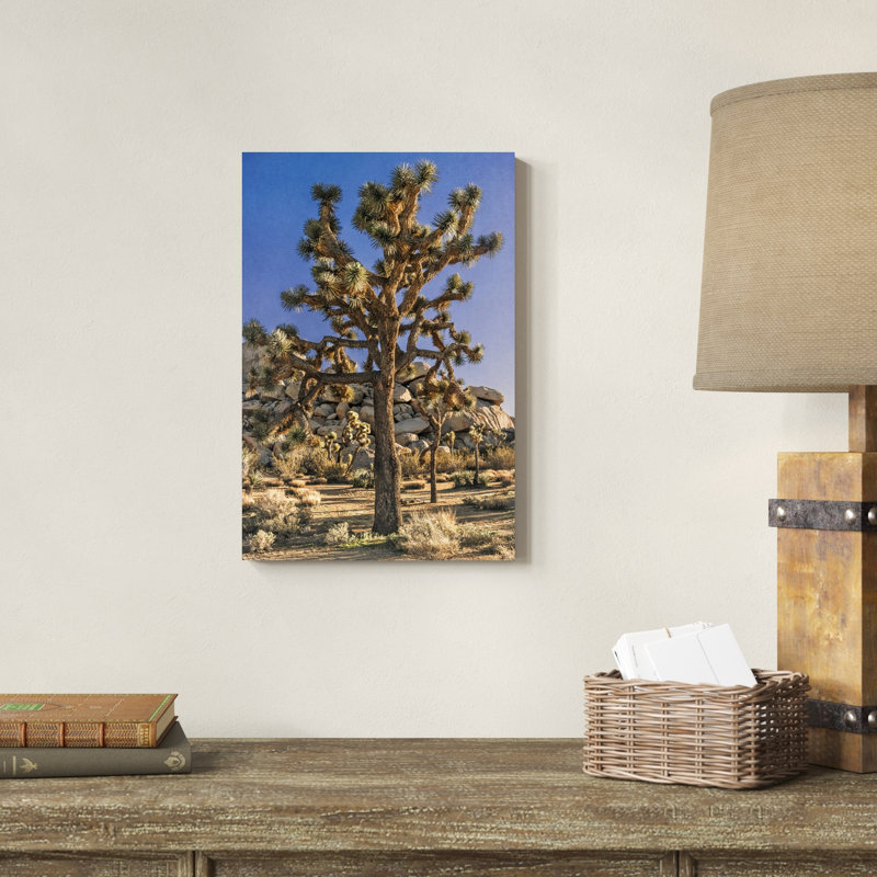 Vue de Joshua Tree II, H 18 po x l 12 po x P 1,25 po