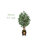 66'' Faux Ficus Tree in Wood Planter