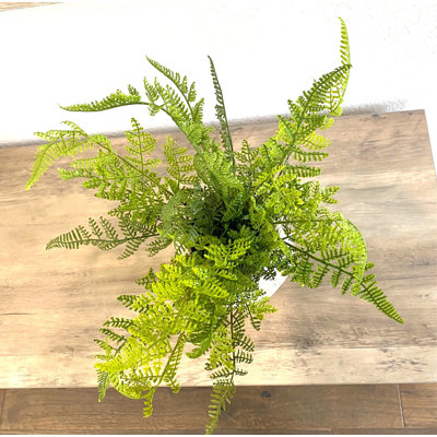 Plant