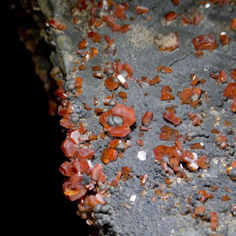 Grande vanadinite sur grille de goethite noire
