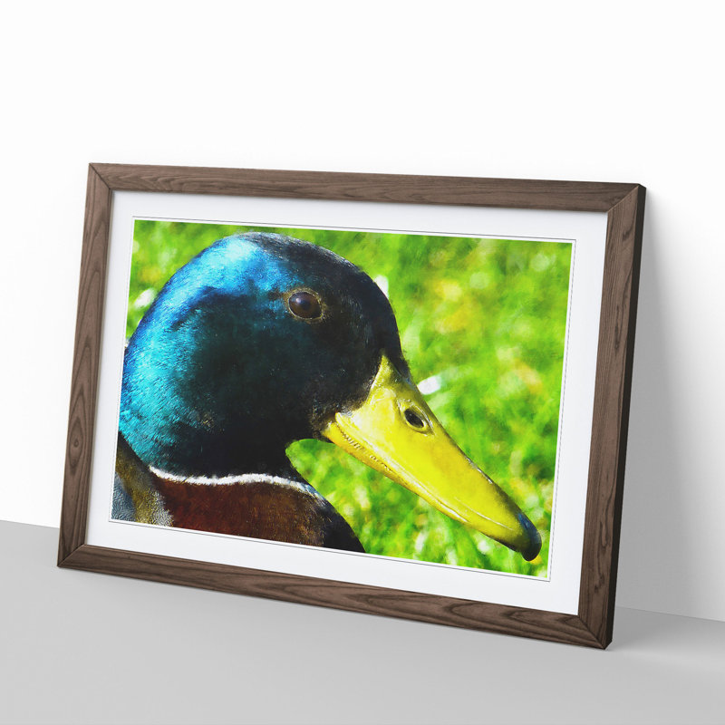 Mallard Duck - Picture Frame Painting, Walnut Framed, 27cm H x 36cm W x 2cm D
