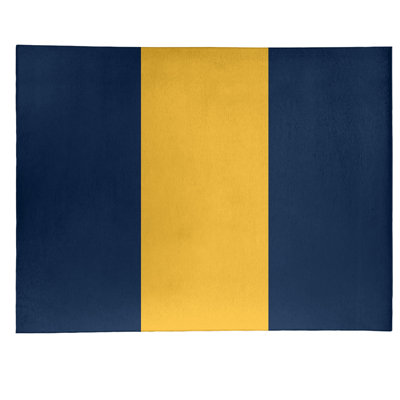 Tapis bleu à rayures NHS National Hockey