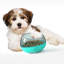 Mangeoire lente APF Series-112024446