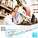 Equivalent T8 G13/Bi-pin LED Bulb