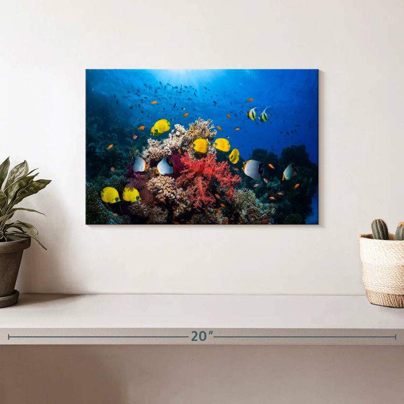 Brampt Underwater Red Sea Life, 8" H x 12" W
