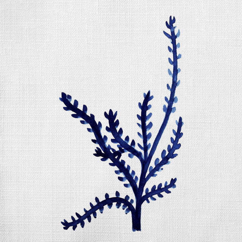 Coussin décoratif Chamaya, H 14 po x l 14 po