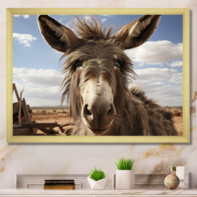 " Gray Donkey Portrait "