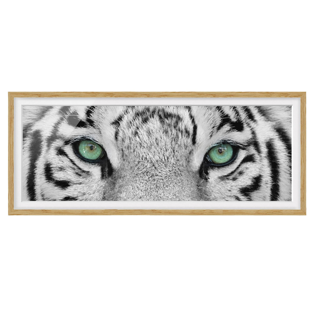 Gerahmtes Poster White Tiger