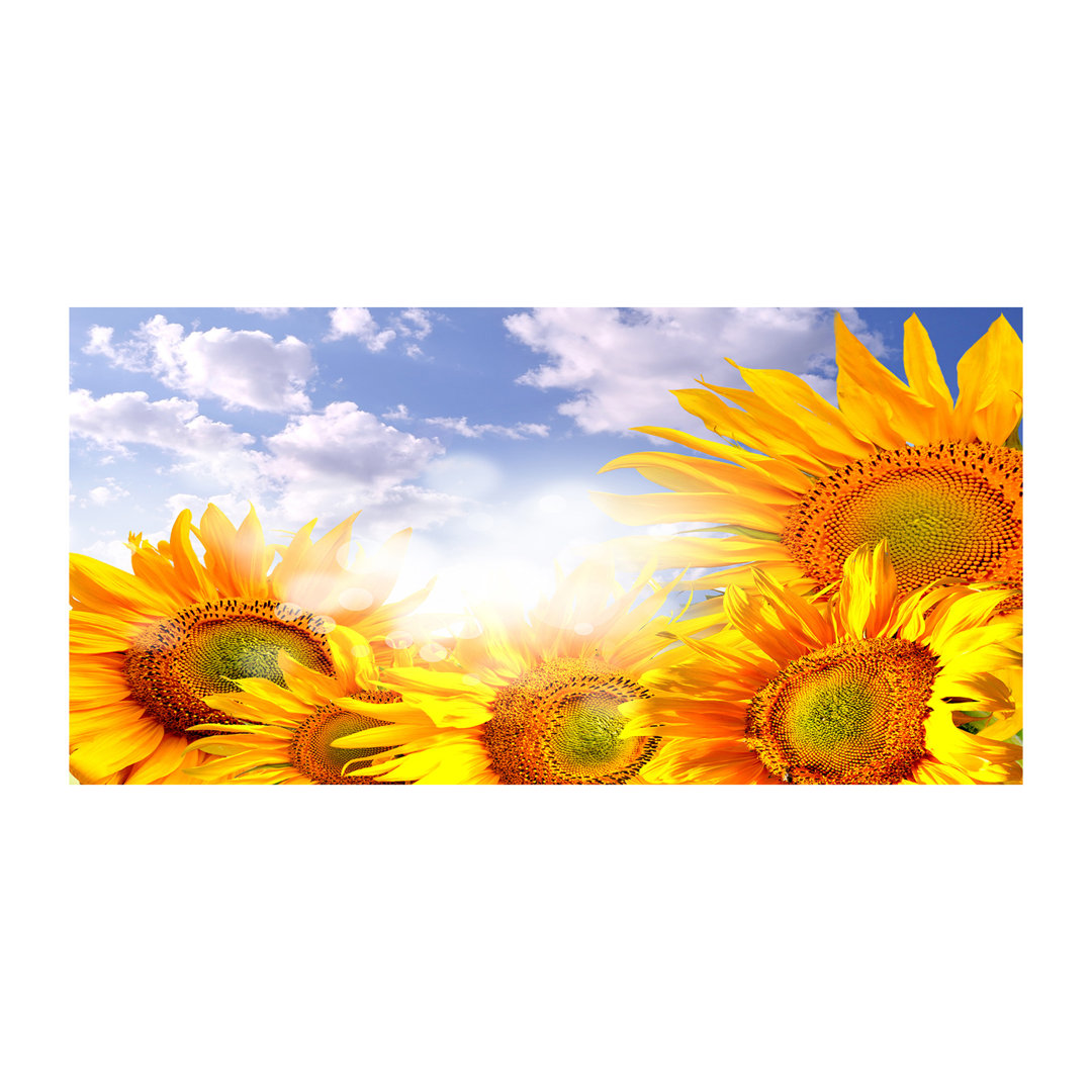 Sonnenblumen - Kunstdrucke auf Leinwand - Wrapped Canvas