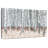 Alvord Winter Birch Grove-107670883