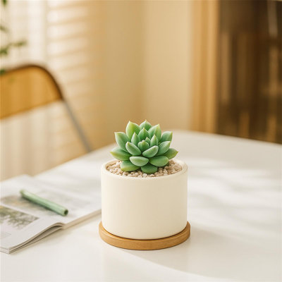 Succulent Pots 3.1 Inch,6 Pack Succulent Planters,Small Pots For Plants With Drainage And Tray,White Ceramic Flower Planters For Indoor Plants,Home,Office,Desk