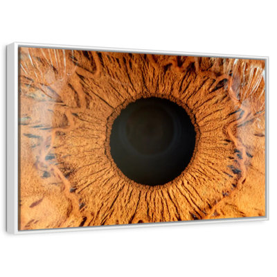 Magnified Human Eye