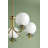 ALEXIA 5 Light Chandelier