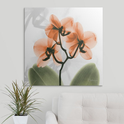«Manigault» Orchid X-Ray par Kiranjit, reproduction de photo