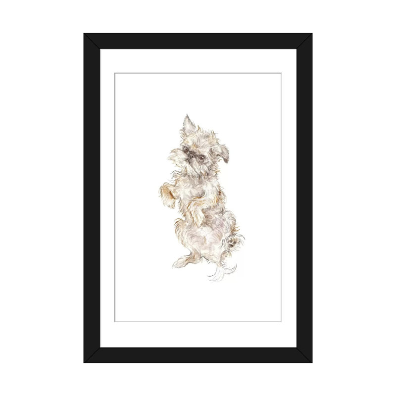 Brussels Griffon - reproduction sur toile tendue, H 32 po x l 24 po x P 1 po, Papier d'art encadré noir, Blanc