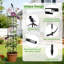 Obélisque treillis pour plantes grimpantes-273061384-276630029