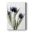 «Xray Tulip IV», impression sur toile tendue-676104078