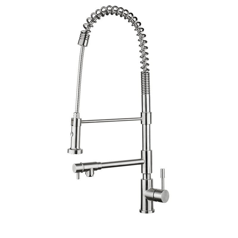 Valley Acrylic Ltd. Pull Down Kitchen Faucet