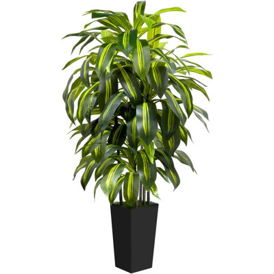 Arbre artificiel d'intérieur 6 pi avec plante noire Dracaena