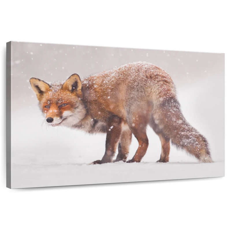 Brampt Snow Fox, 30" H x 45" W