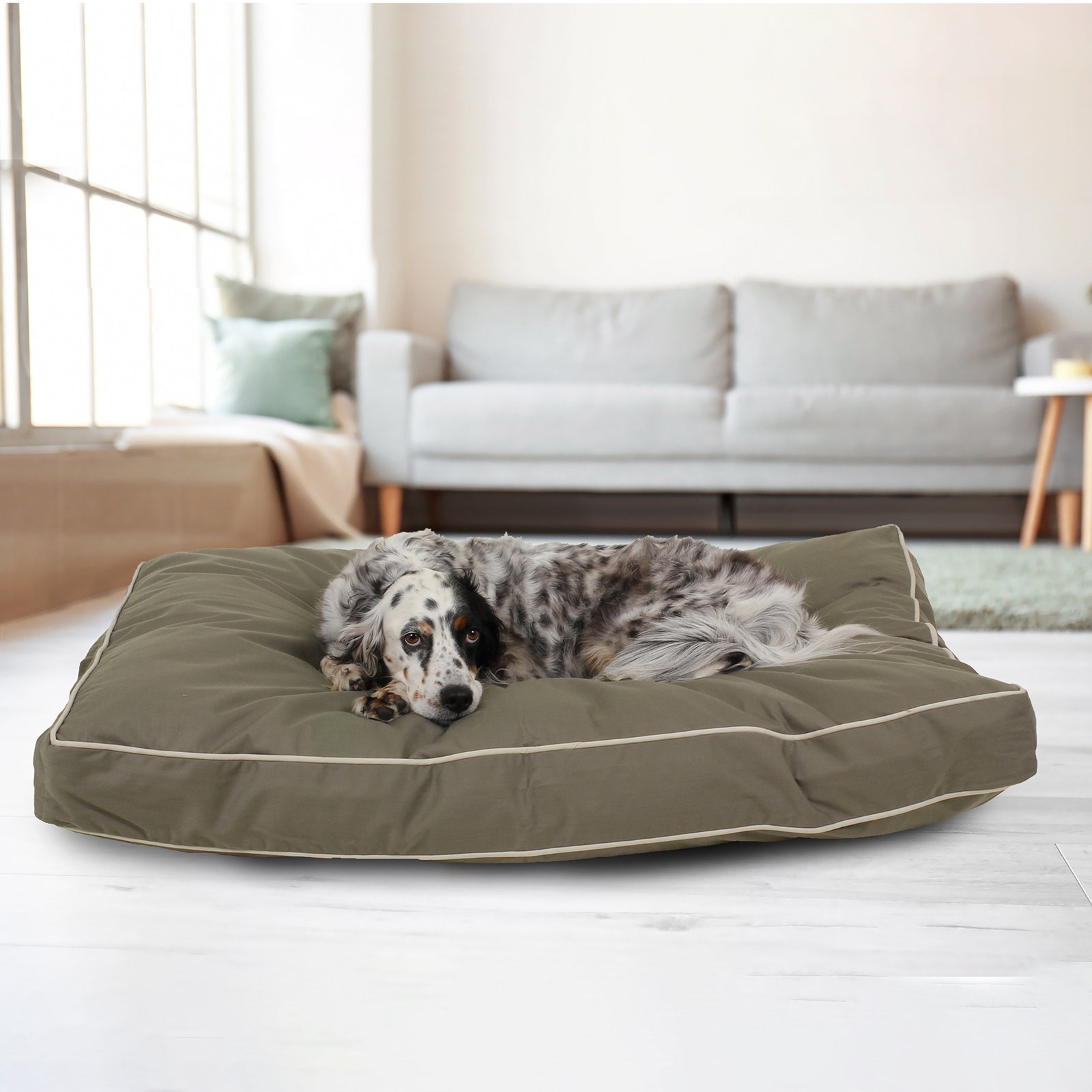Orthopedic Foam Pet Bed with Washable Cover, Medium (42" W x 30" D x 4" H), Sage/Khaki