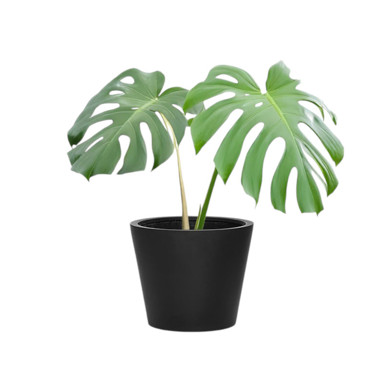 Slovan Handmade Pot Planter, White, 16'' H X 20'' W X 20'' D