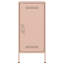 Ambreal Steel Accent Cabinet-905993512
