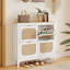 20 Pair Shoe Storage Cabinet