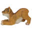 Tibesti Lion Cub of the Sahara Statue