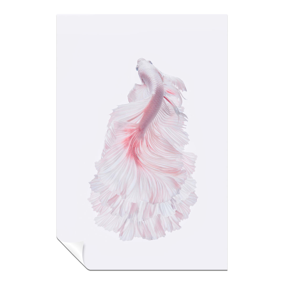 Pink Pastel Graceful Swimming Fish - Unframed Art Prints