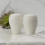 Swirl White Salt and Pepper Shaker Set