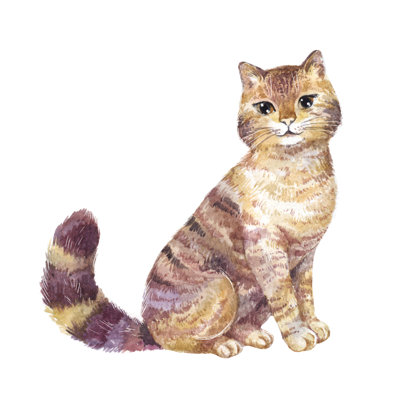 Cute Cat - Wrapped Canvas Painting