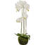 115cm Faux Plant in Cement Pot Liner