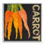 Giclée encadrée de carotte, légume-racine, conception de Nancy Overton-1120858471-1120858469
