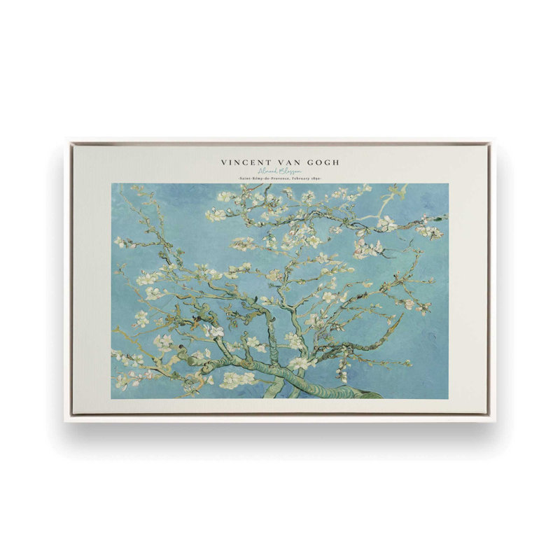 Van Gogh's Ammond Blossom v2, H 20,75 po x l 30,75 po, Cadre flottant blanc opaque