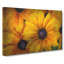 Yellow Coneflowers - Wrapped Canvas-56642860