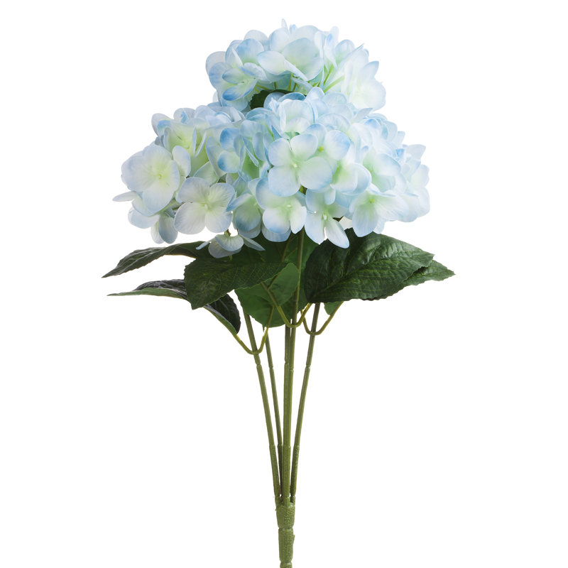 Buissons d’hortensias, bleu