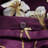 Cotton Sateen Duvet Cover-453227644