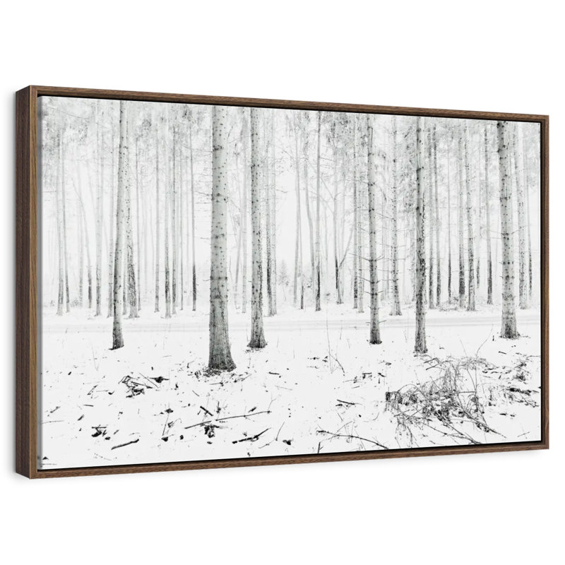 Forêt d'hiver de Langenargen, Cadre flottant noyer, 43 po x 29 po