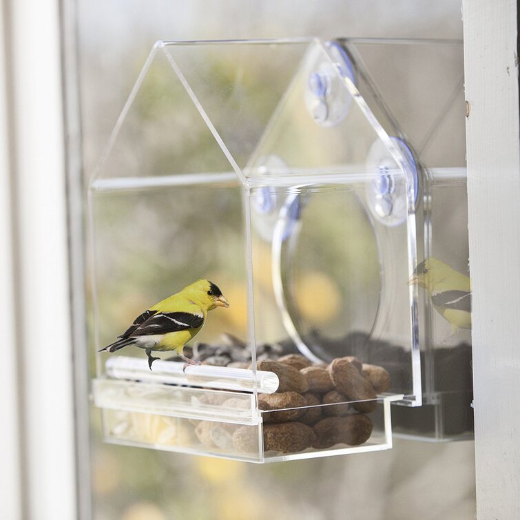 Clear Plastic Window Bird Feeder for Outside - Window Bird Feeders with  Strong Suction Cups - Transparent Bird Feeder Window Mount Acrylic Bird  House for Cat Window PerchNature Anywhere PREMIUM Clear Plastic