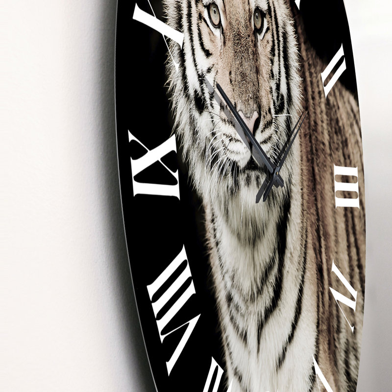 Portrait d'un tigre blanc III - Horloge murale traditionnelle, Petit