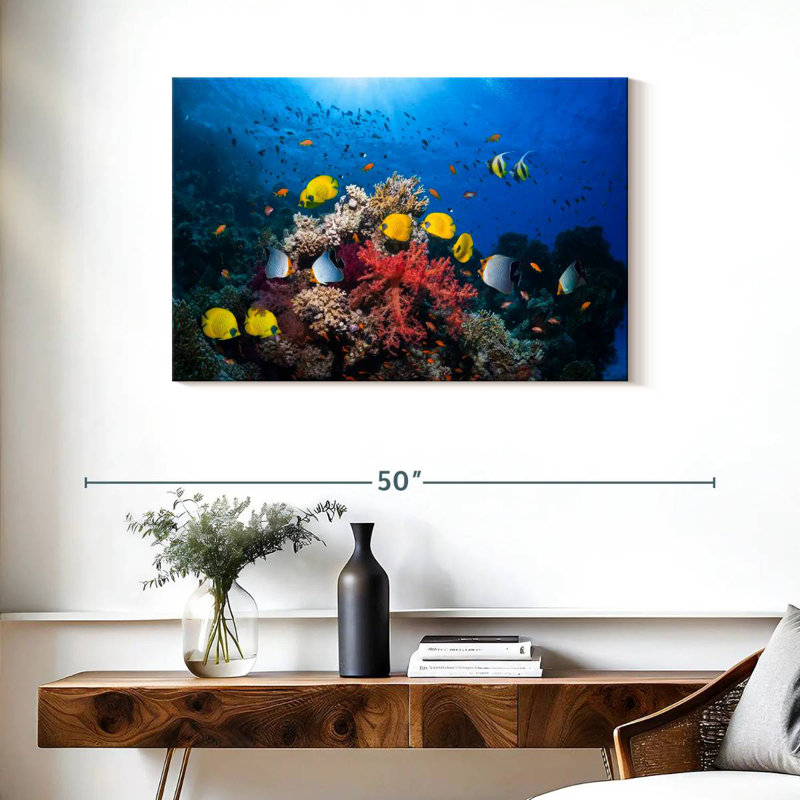 Brampt Underwater Red Sea Life, H 24 po x l 36 po