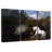 Horse Frightened By A Lion-1131692872