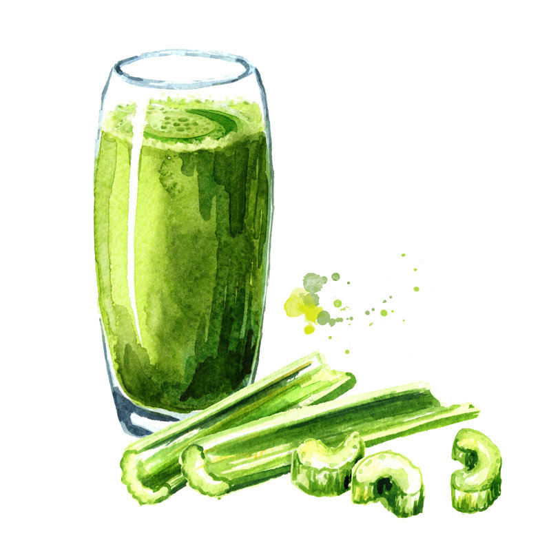 «Lilliemai Green Celery Juice» 10658831 sur toile par Daria Ustiugova, peinture, H 12 po x l 12 po