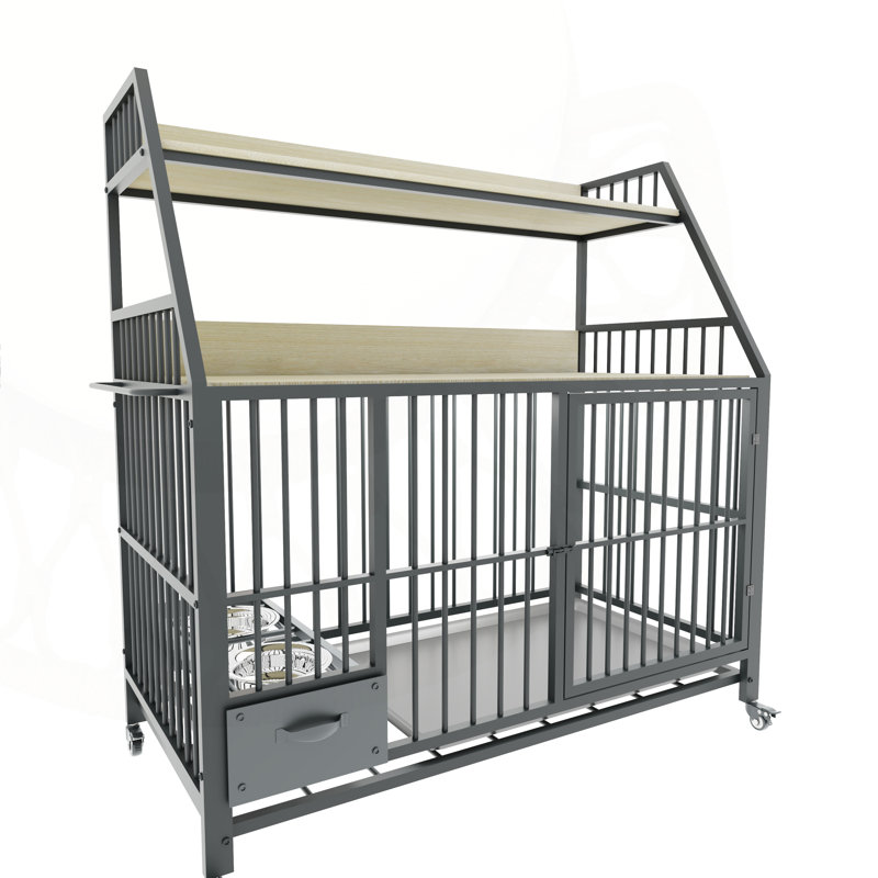 Magnifique Haydyn pour animaux de compagnie à double couche avec construction robuste et rangement pratique