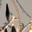 Lustre classique/traditionnel Nera à 4 lumières, style bougie